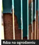 Zardzewiałe ogrodzenie