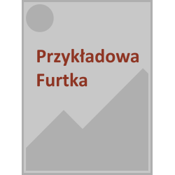 Furtka aluminiowa standard 1x1,5