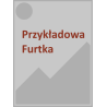 Furtka aluminiowa standard 1x1,5